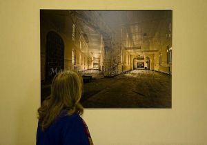 Rose Looking at the gallery sm-c42.jpg